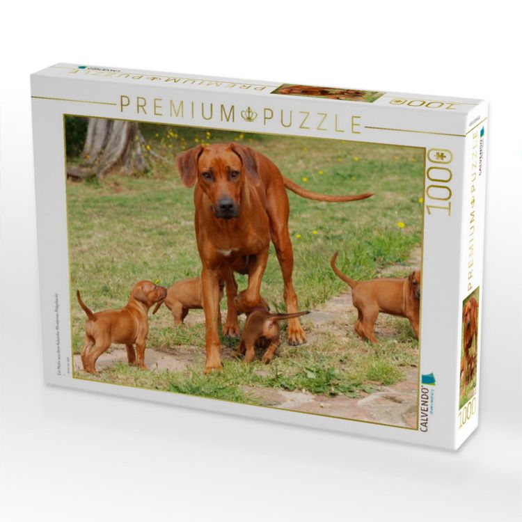 Produktbild: CALVENDO Puzzle Ein Motiv aus dem Kalender Rhodesian Ridgebacks | 1000 Teile Lege-Gr&ouml;&szlig;e 64x48cm Foto-Puzzle f&uuml;r gl&uuml;ckliche Stunden