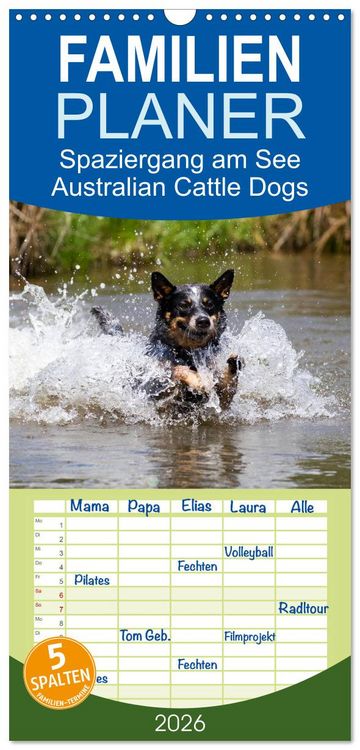 Produktbild: Familienplaner 2026 - Spaziergang am See Australian Cattle Dogs mit 5 Spalten (Wandkalender, 21 x 45 cm) CALVENDO