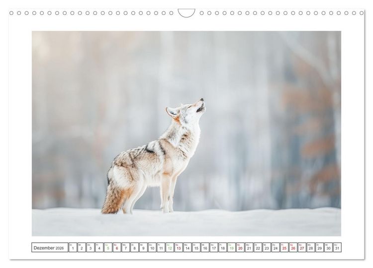 Produktbild: Naturparadies Wald (Wandkalender 2026 DIN A3 quer), CALVENDO Monatskalender