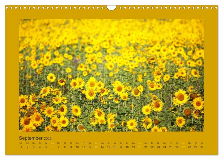 Produktbild: 12 Farben (Wandkalender 2026 DIN A3 quer), CALVENDO Monatskalender