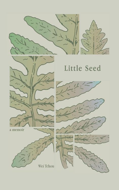 Produktbild: Little Seed