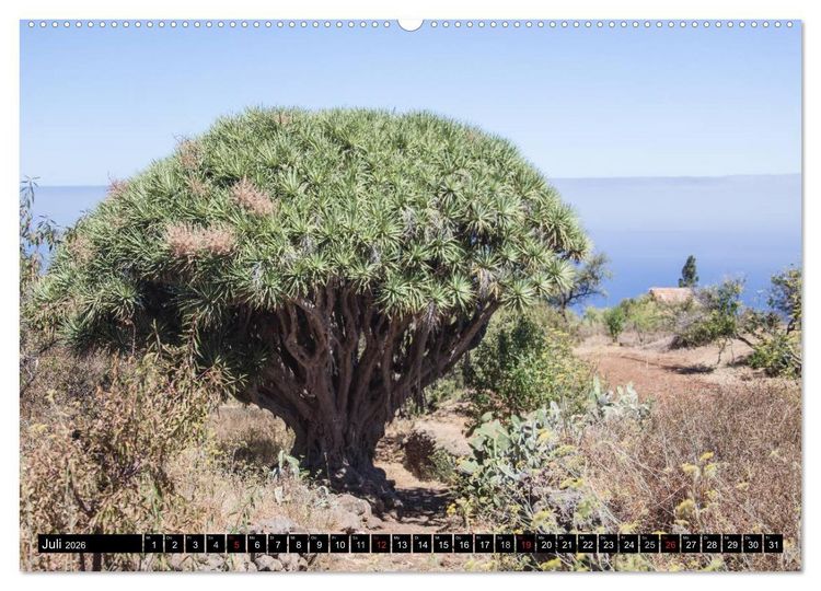 Produktbild: Faszinierendes La Palma (hochwertiger Premium Wandkalender 2026 DIN A2 quer), Kunstdruck in Hochglanz