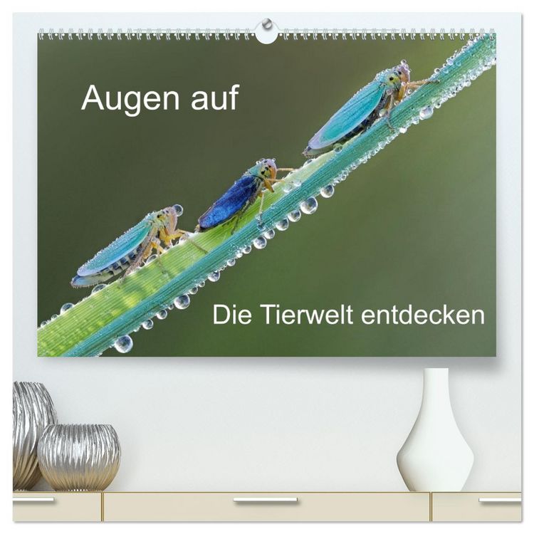 Produktbild: Augen auf - versteckte Tierwelt (hochwertiger Premium Wandkalender 2026 DIN A2 quer), Kunstdruck in Hochglanz