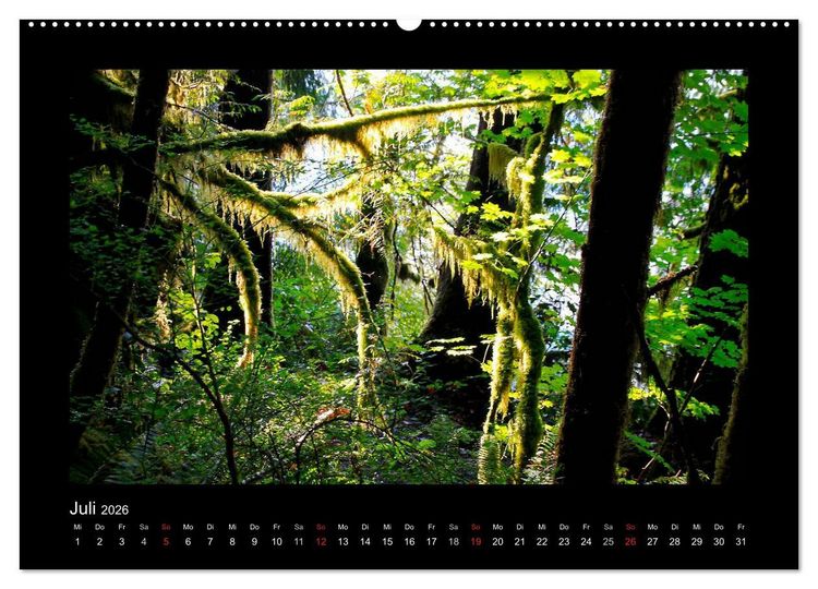 Produktbild: W&auml;lder, fotografiert auf vier Kontinenten (hochwertiger Premium Wandkalender 2026 DIN A2 quer), Kunstdruck in Hochglanz