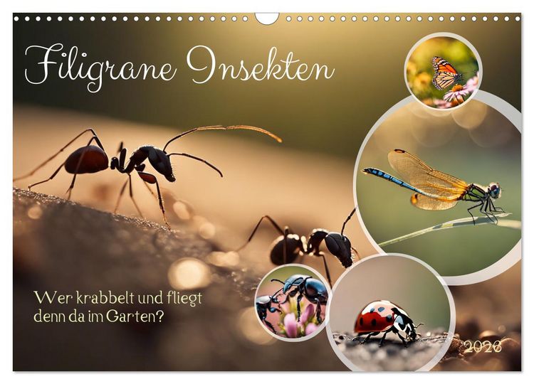 Produktbild: Filigrane Insekten (Wandkalender 2026 DIN A3 quer), CALVENDO Monatskalender