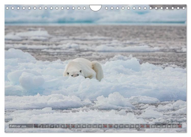 Produktbild: Svalbard-Momente (Wandkalender 2026 DIN A4 quer), CALVENDO Monatskalender