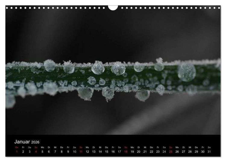 Produktbild: schwarz/wei&szlig; trifft farbe (Wandkalender 2026 DIN A3 quer), CALVENDO Monatskalender