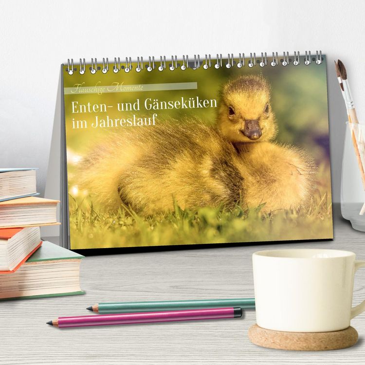 Produktbild: Flauschige Momente! Enten- und G&auml;nsek&uuml;ken im Jahreslauf (Tischkalender 2026 DIN A5 quer), CALVENDO Monatskalender