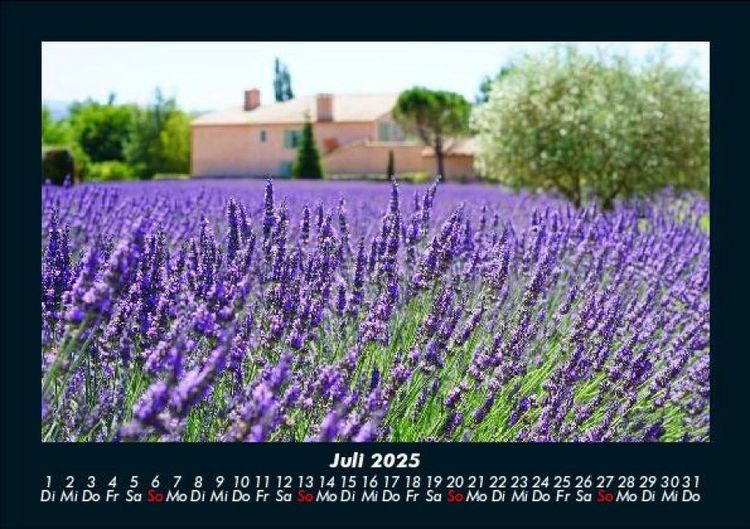 Produktbild: Blumentr&auml;ume 2025 Fotokalender DIN A5