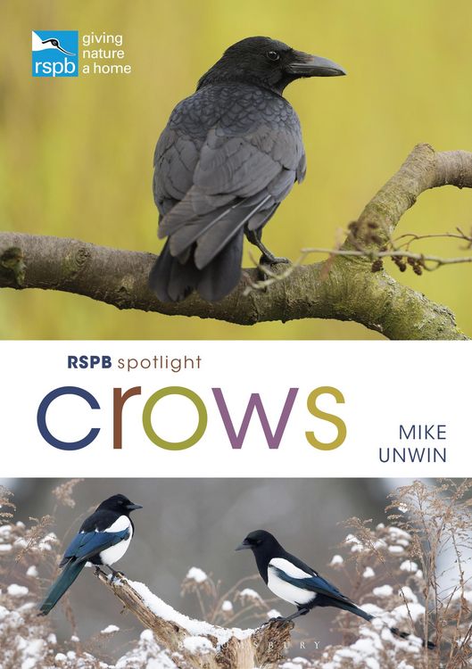 Produktbild: RSPB Spotlight Crows