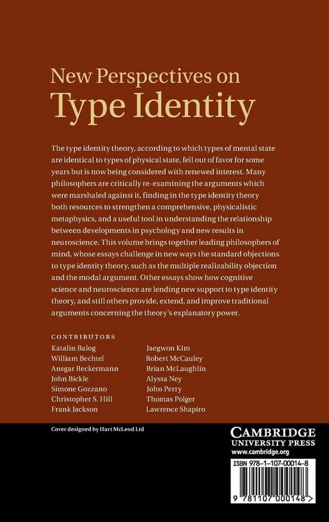 Produktbild: New Perspectives on Type Identity