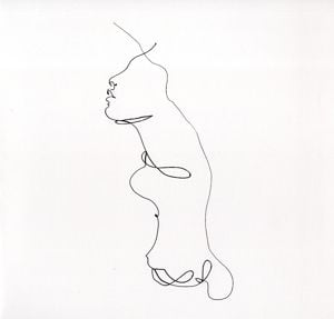 Produktbild: The Faintest Idea (Black Vinyl)