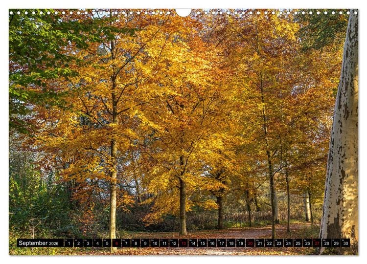 Produktbild: Herbst rund um den Bodensee (Wandkalender 2026 DIN A3 quer), CALVENDO Monatskalender