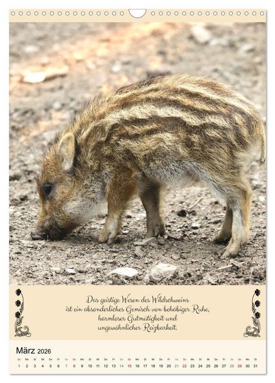 Produktbild: Buntes Tierleben (Wandkalender 2026 DIN A3 hoch), CALVENDO Monatskalender
