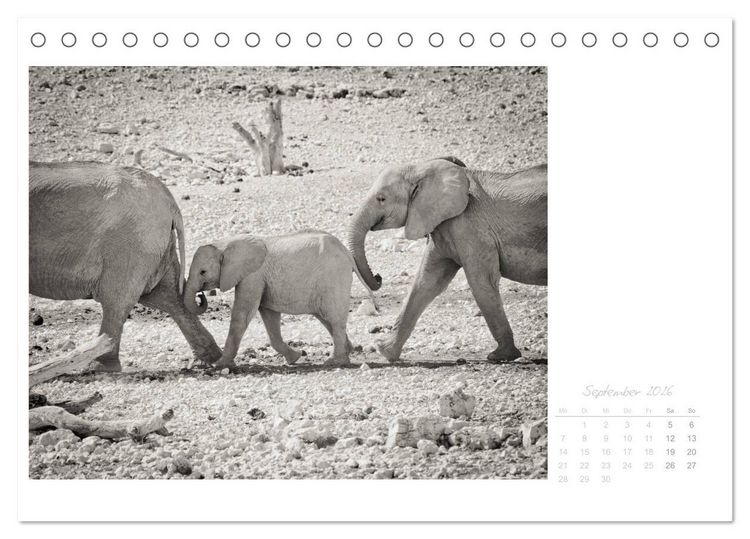 Produktbild: Elefanten in Etosha (Tischkalender 2026 DIN A5 quer), CALVENDO Monatskalender