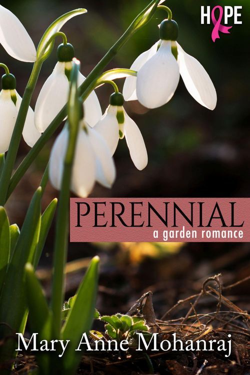 Produktbild: Perennial - A Garden Romance