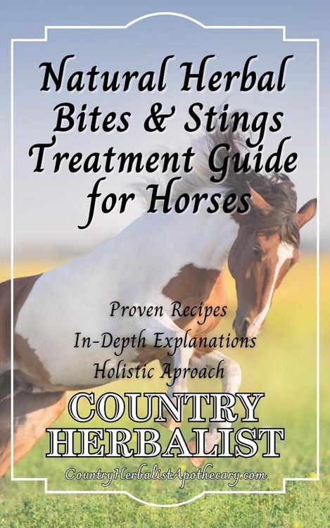 Produktbild: Natural Herbal Bite & Sting Treatment Guide for Horses (Herbal Horse Remedies)