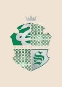Produktbild: Harry Potter: Slytherin Laser Die-Cut Card