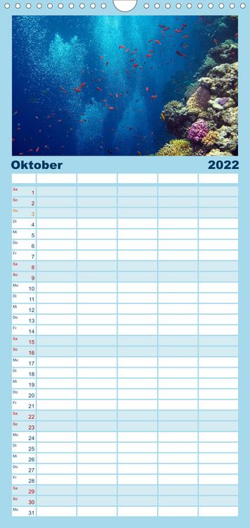 Produktbild: Riffleben - Einfach mal abtauchen - Familienplaner hoch (Wandkalender 2022 , 21 cm x 45 cm, hoch)