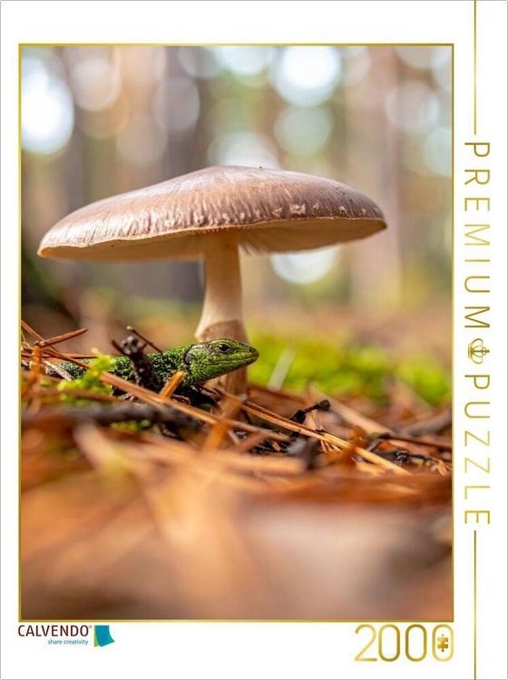 Produktbild: CALVENDO Puzzle Schirmpilz und Eidechse | 2000 Teile Lege-Gr&ouml;&szlig;e 90x67cm Foto-Puzzle f&uuml;r gl&uuml;ckliche Stunden