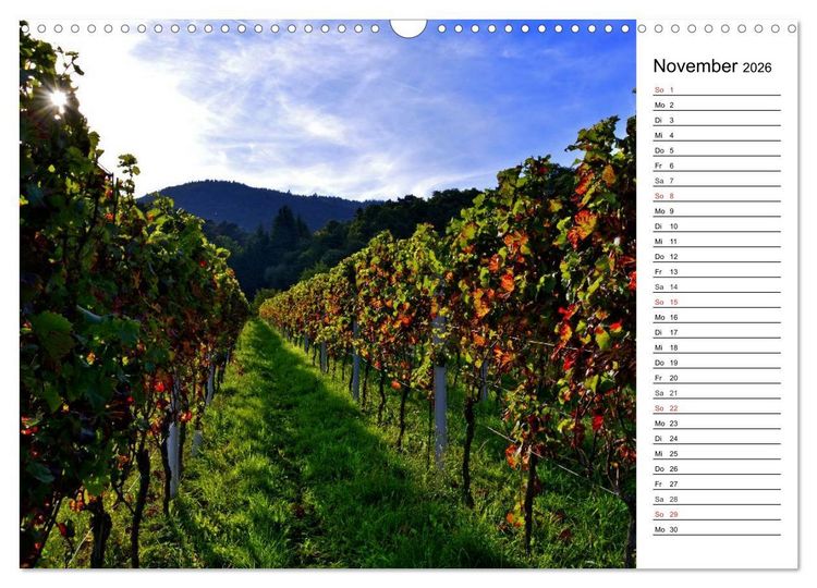 Produktbild: Landschaften des Kraichgaus (Wandkalender 2026 DIN A3 quer), CALVENDO Monatskalender