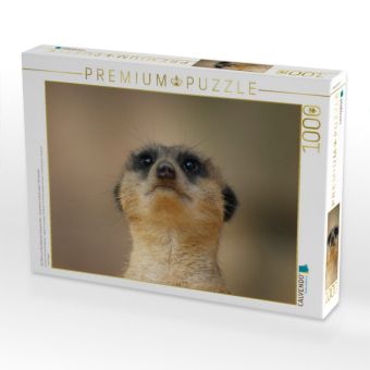 Produktbild: CALVENDO Puzzle Ein Motiv aus dem Kalender Erdm&auml;nnchen - Zusammen sind wir stark / CH-Version | 1000 Teile Lege-Gr&ouml;&szlig;e 64x48cm Foto-Puzzle f&uuml;r gl&uuml;ckliche Stunden