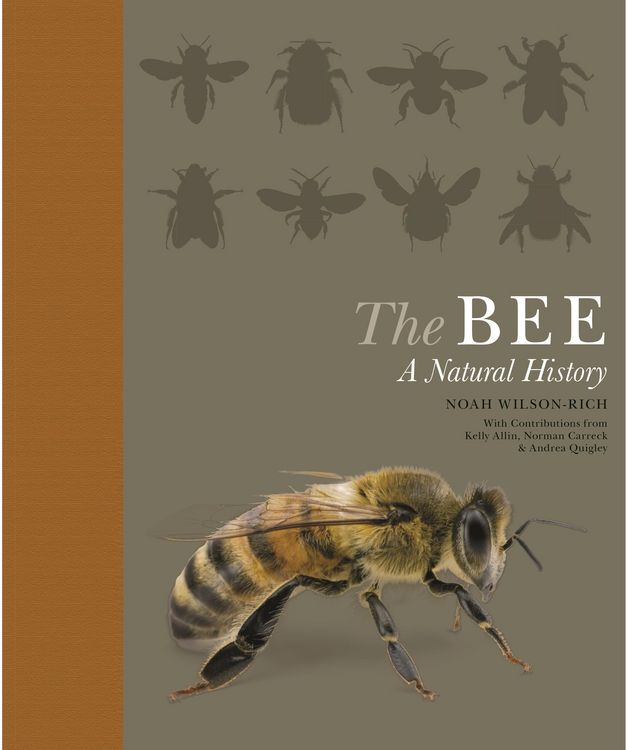 Produktbild: The Bee