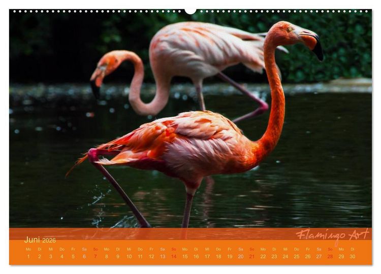 Produktbild: Flamingo Art 2026 (Wandkalender 2026 DIN A2 quer), CALVENDO Monatskalender