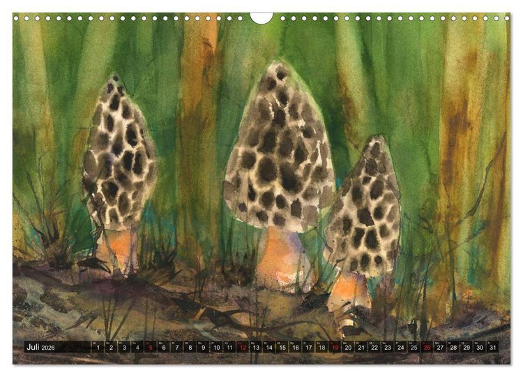 Produktbild: Pilze in Aquarell (Wandkalender 2026 DIN A3 quer), CALVENDO Monatskalender
