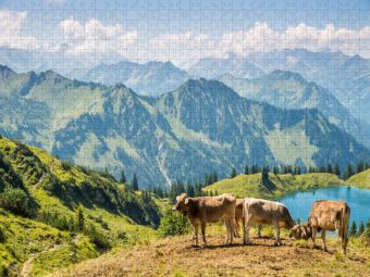Produktbild: CALVENDO Puzzle Rinder am Nebelhorn | 1000 Teile Lege-Gr&ouml;&szlig;e 64x48cm Foto-Puzzle f&uuml;r gl&uuml;ckliche Stunden