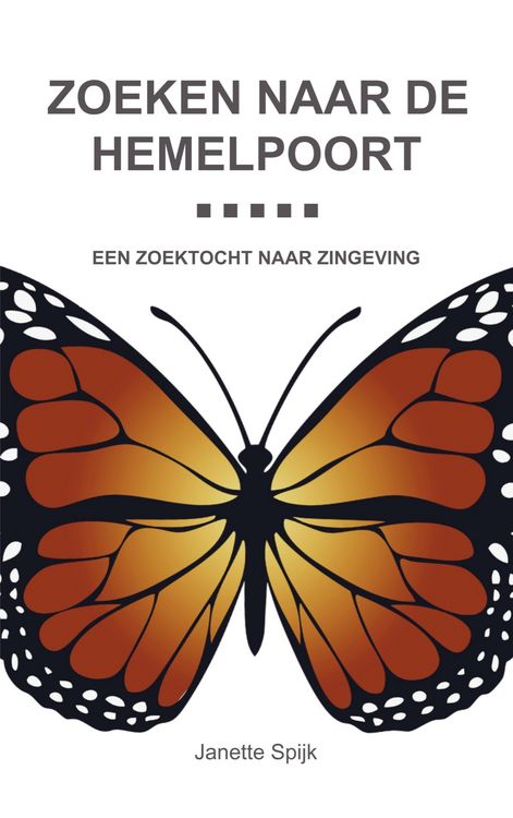 Produktbild: Zoeken naar de hemelpoort