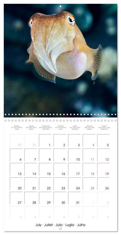 Produktbild: Fish magic (Wall Calendar 2026 12 &times; 12 Inch) CALVENDO 12 Month Wall Calendar