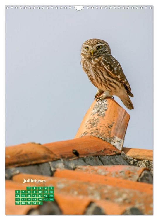 Produktbild: Lesbos l'&icirc;le aux oiseaux (Calendrier mural 2026 DIN A3 horizontal), CALVENDO calendrier mensuel