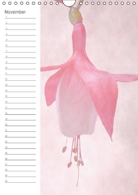 Produktbild: Zarte Bl&uuml;ten / Geburtstagskalender (Wandkalender immerw&auml;hrend DIN A4 hoch)