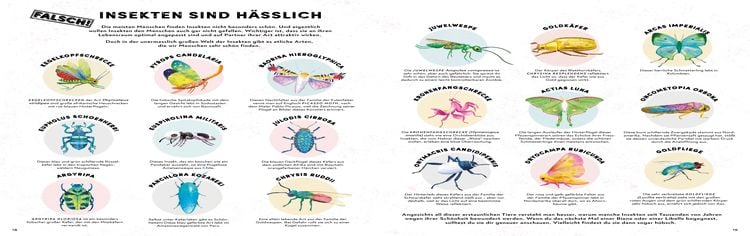 Produktbild: Alles, was wir über Krabbeltiere wissen, ist falsch!