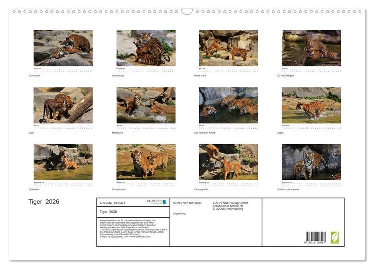 Produktbild: Tiger 2026 (Wandkalender 2026 DIN A2 quer), CALVENDO Monatskalender