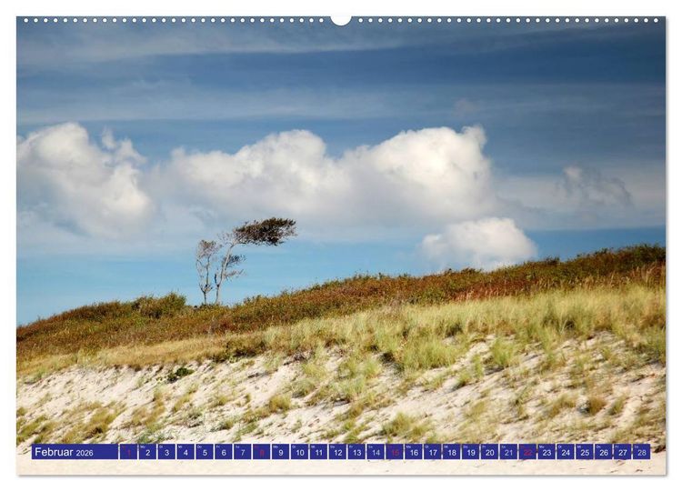 Produktbild: Weststrand Dar&szlig; (hochwertiger Premium Wandkalender 2026 DIN A2 quer), Kunstdruck in Hochglanz