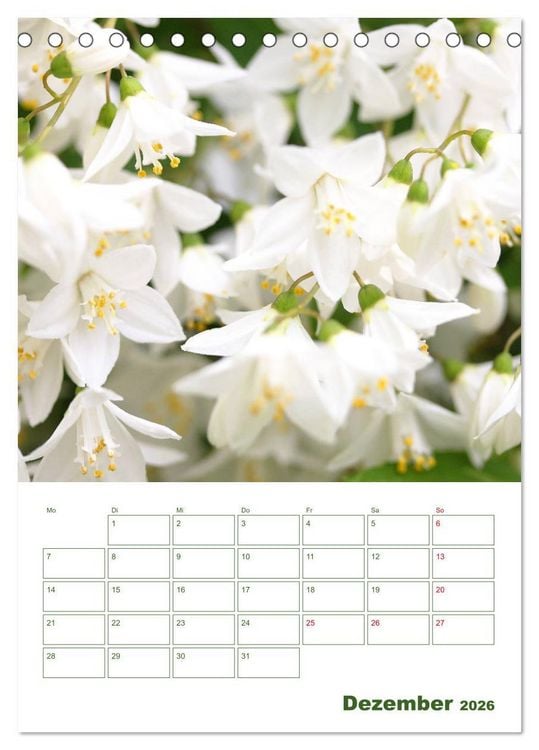 Produktbild: Wei&szlig;e Bl&uuml;ten im Gr&uuml;nen (Tischkalender 2026 DIN A5 hoch), CALVENDO Monatskalender