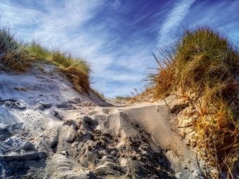 Produktbild: CALVENDO Puzzle Nordsee-D&uuml;nen | 1000 Teile Lege-Gr&ouml;&szlig;e 64x48cm Foto-Puzzle f&uuml;r gl&uuml;ckliche Stunden