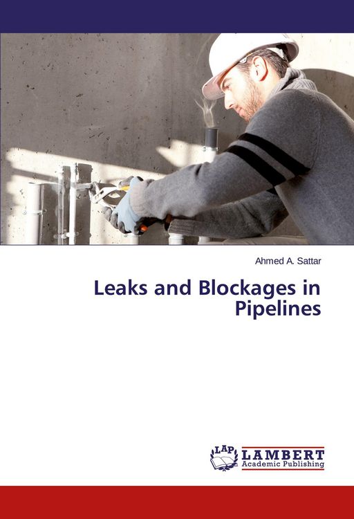 Produktbild: Leaks and Blockages in Pipelines