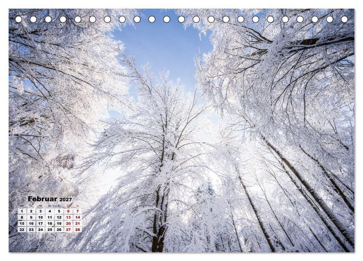 Produktbild: Waldspazierg&auml;nge: Entspannen - Kraft tanken - Besinnen auf sich selbst (Tischkalender 2027 DIN A5 quer), CALVENDO Monatskalender