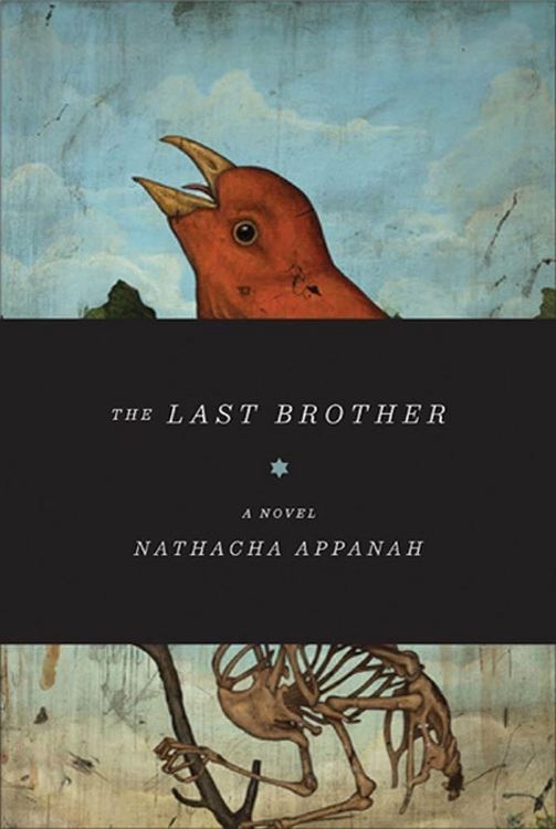 Produktbild: The Last Brother