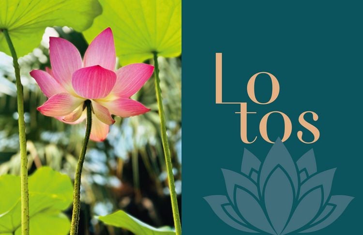 Produktbild: Willkommen in Thailand