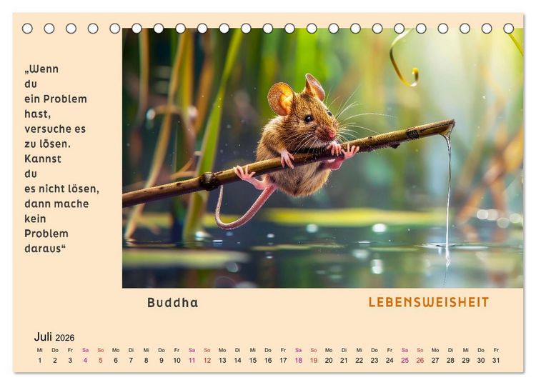 Produktbild: Pfiffig und weise (Tischkalender 2026 DIN A5 quer), CALVENDO Monatskalender