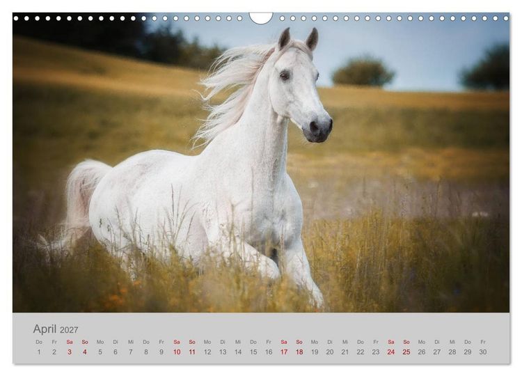 Produktbild: Pferde - Anmut, Eleganz, Magie (Wandkalender 2027 DIN A3 quer), CALVENDO Monatskalender