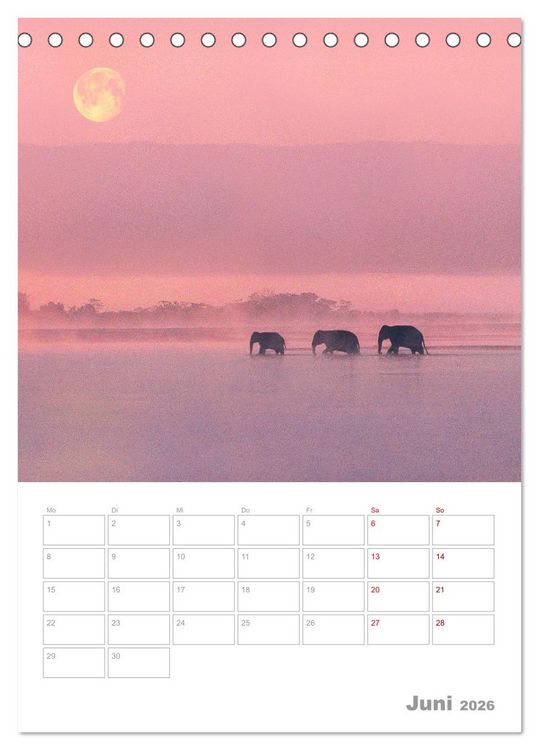 Produktbild: VOLLMOND-Planer - Im Licht der Nacht (Tischkalender 2026 DIN A5 hoch), CALVENDO Monatskalender