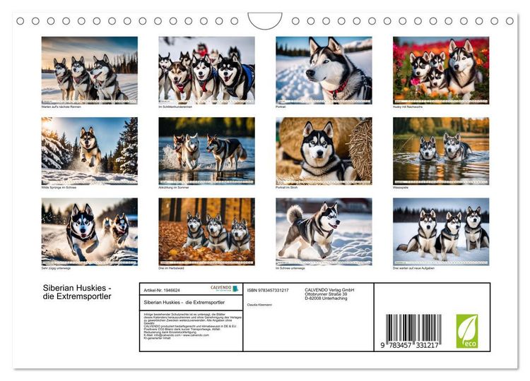 Produktbild: Siberian Huskies - die Extremsportler (Wandkalender 2026 DIN A4 quer), CALVENDO Monatskalender