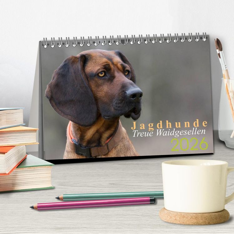 Produktbild: Jagdhunde - Treue Waidgesellen (Tischkalender 2026 DIN A5 quer), CALVENDO Monatskalender