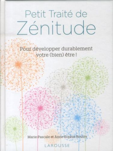 Produktbild: Petit trait&eacute; de z&eacute;nitude : pour d&eacute;velopper durablement votre bien &ecirc;tre