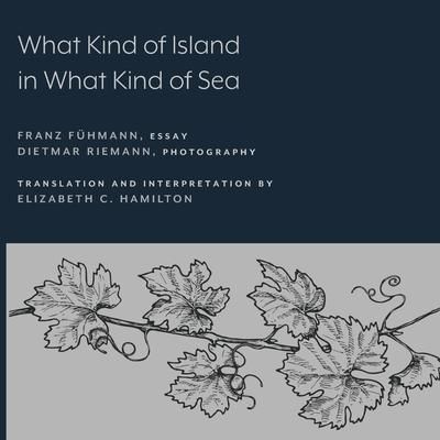 Produktbild: What Kind of Island in What Kind of Sea?